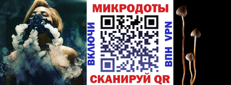 Галлюциногенные грибы Psilocybine cubensis Называевск